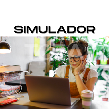 Simulador de Leilão - Pratique!